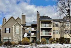 featured image of 10 Lear Ct