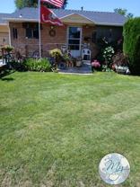 245 Locust St N - Photo 1 of 1