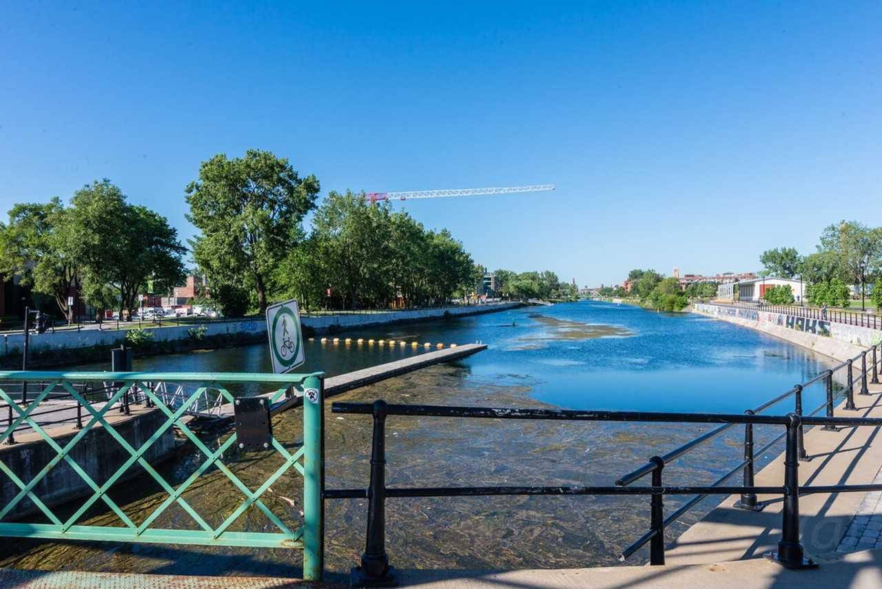 2727 Rue Saint-Patrick #1261836P - Photo 7 of 45