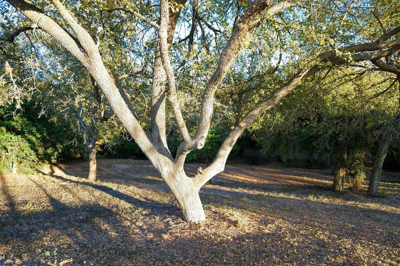 10201 Shane Dr #1268406P - Photo 5 of 19