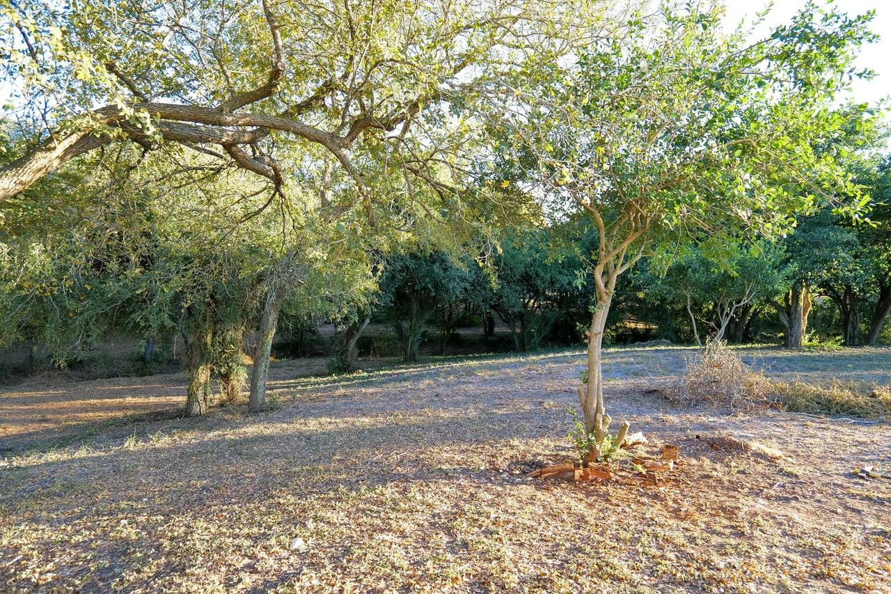 10201 Shane Dr #1268406P - Photo 6 of 19