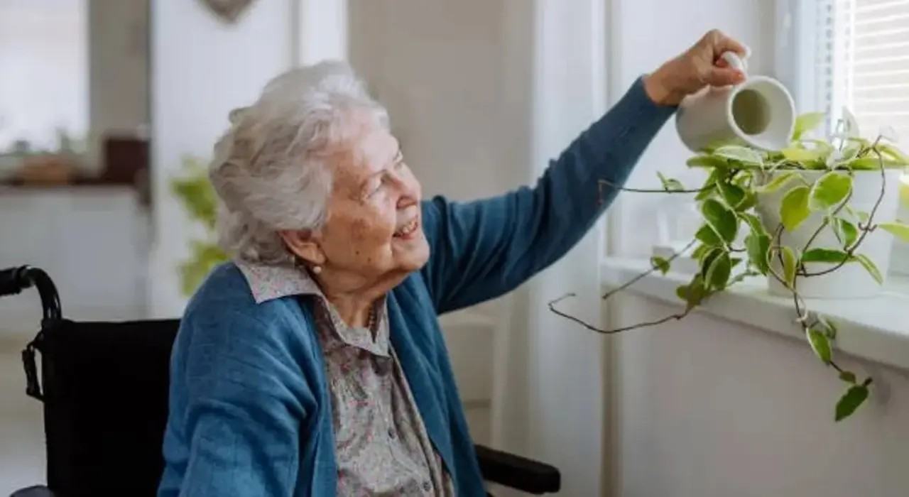 Townhouse Apartments - Photo 5 of 9