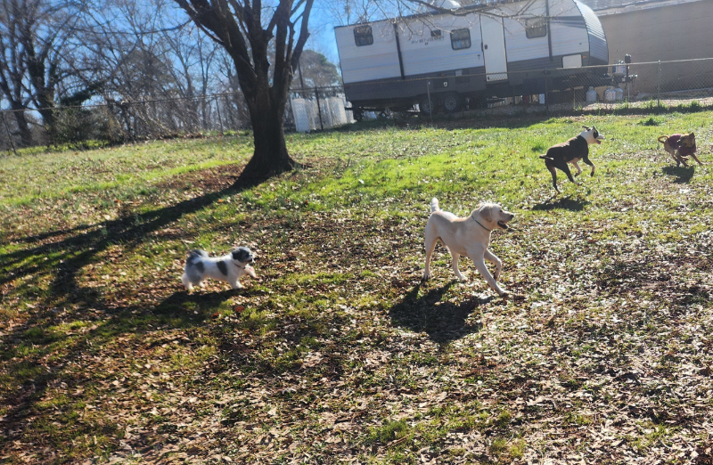 1210 Arnold Rd #3 - Photo 5 of 6