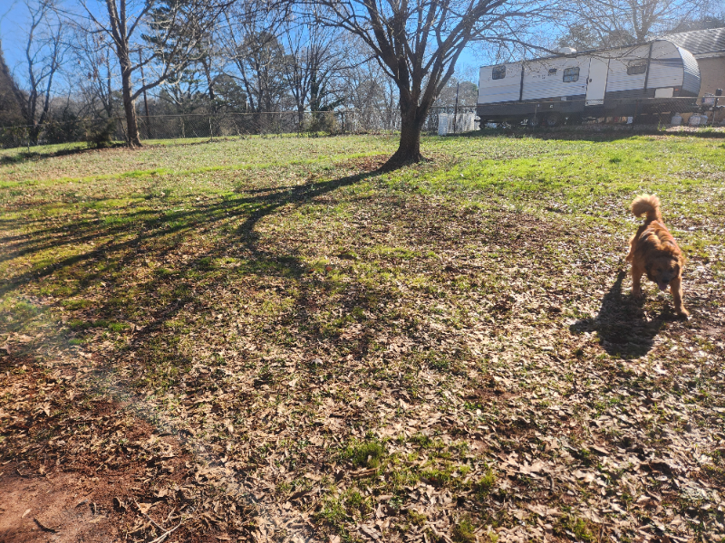 1210 Arnold Rd #3 - Photo 6 of 6