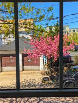 21 Salem St #17A - Photo 1 of 1