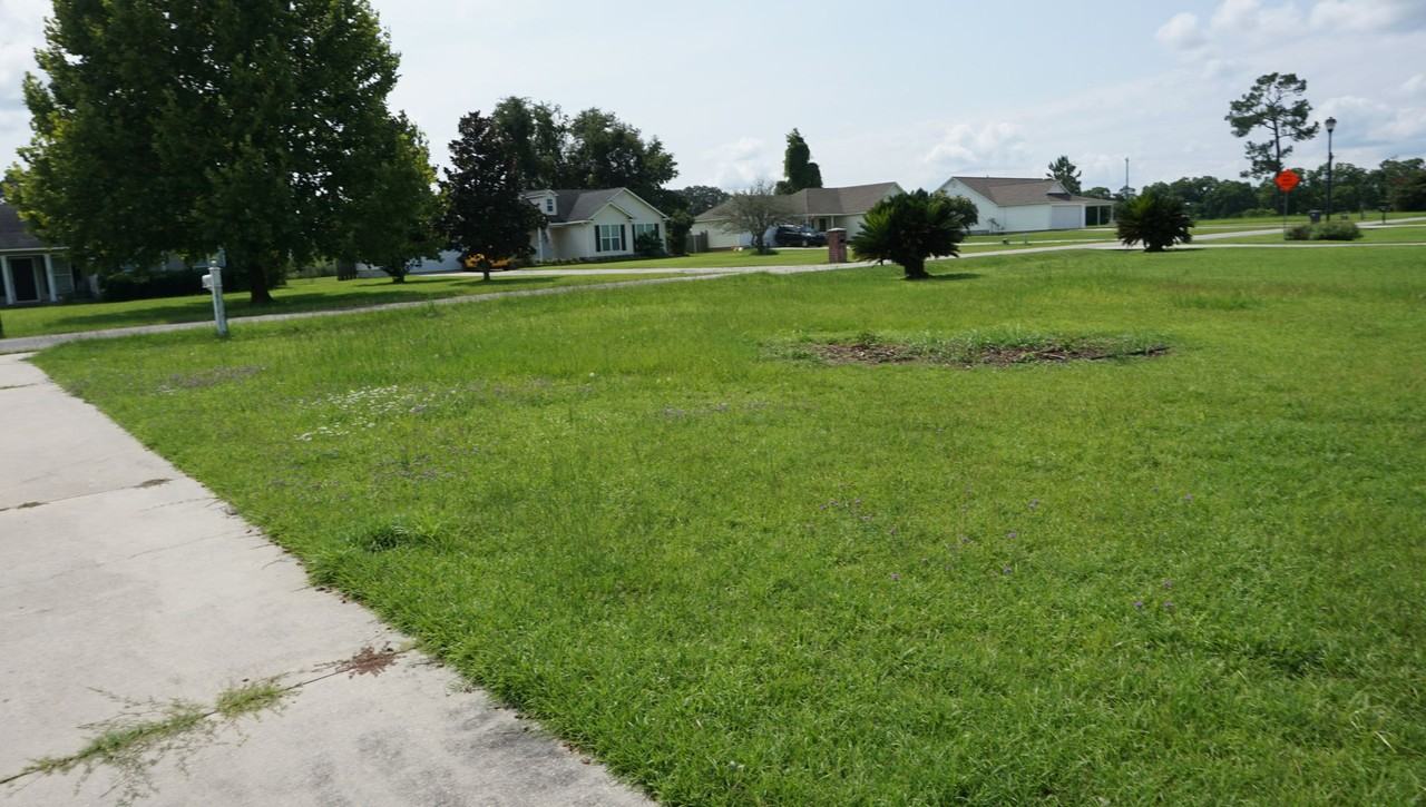 19 Jacobs Walk - Photo 2 of 39