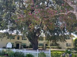 featured image of 1618 W Huntington Dr