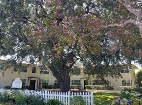 Huntington BWB, LLC - Photo 1 of 1