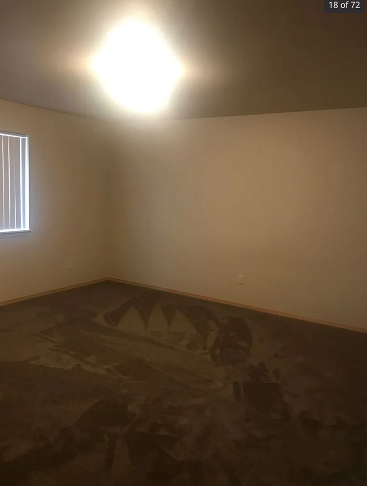 521 Green Tree Dr - Photo 4 of 13