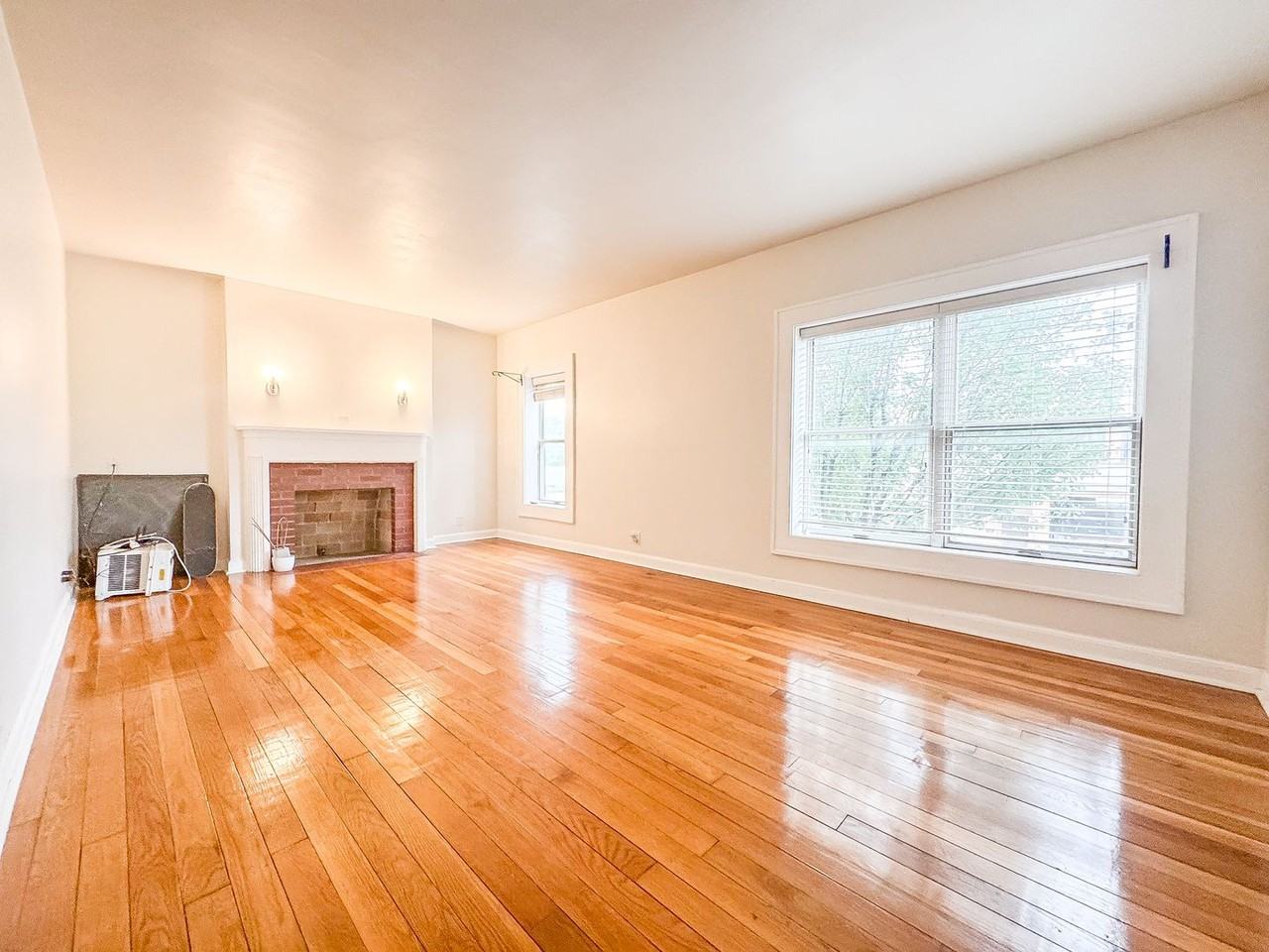 1220 Williamson St - Photo 4 of 17