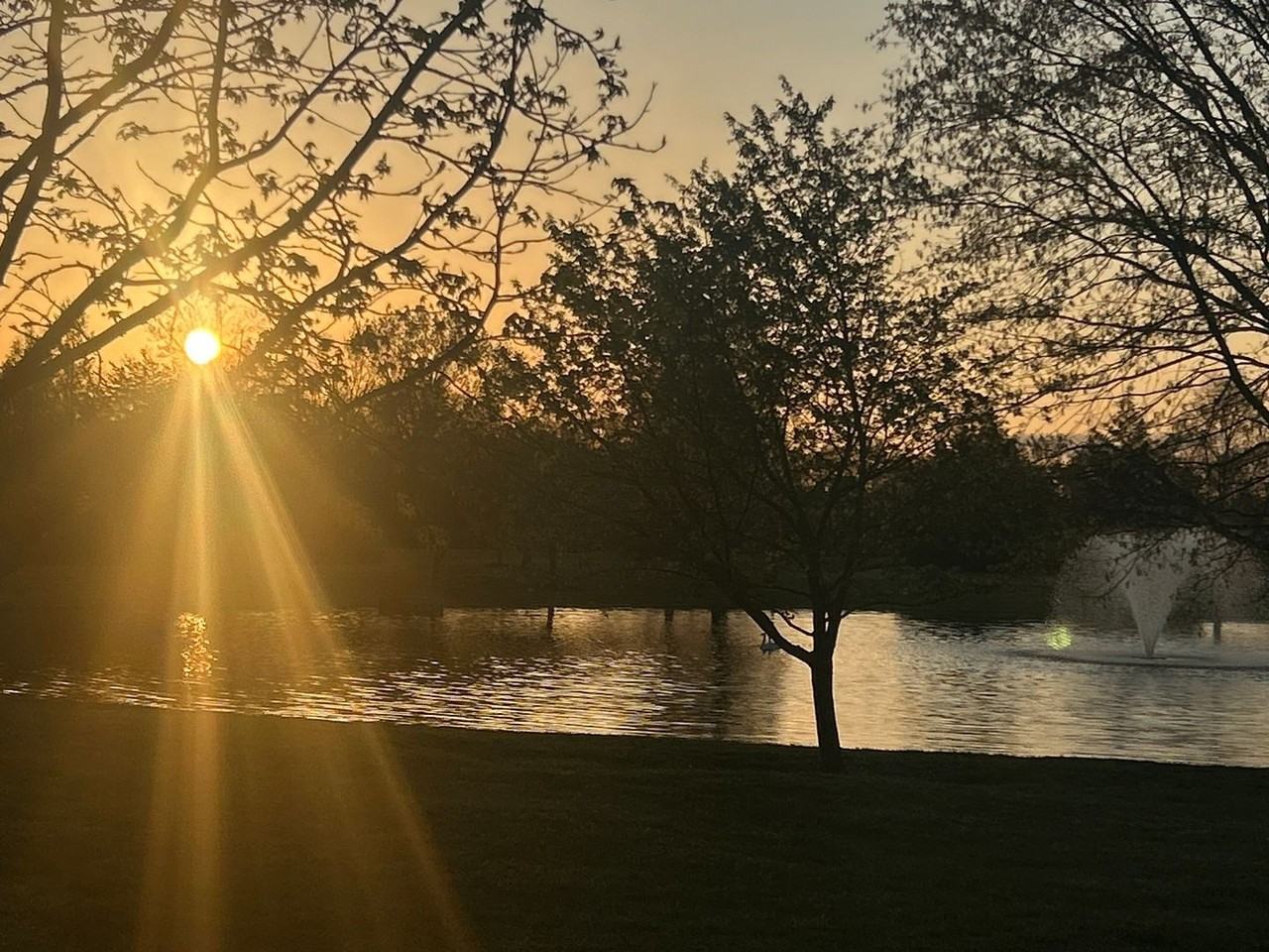 601 Boyd Mill Ave - Photo 3 of 9