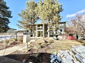 THE PINES Apartments - Photo 1 of 1