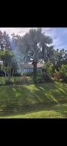 816 Gerald Avenue - Photo 1 of 1