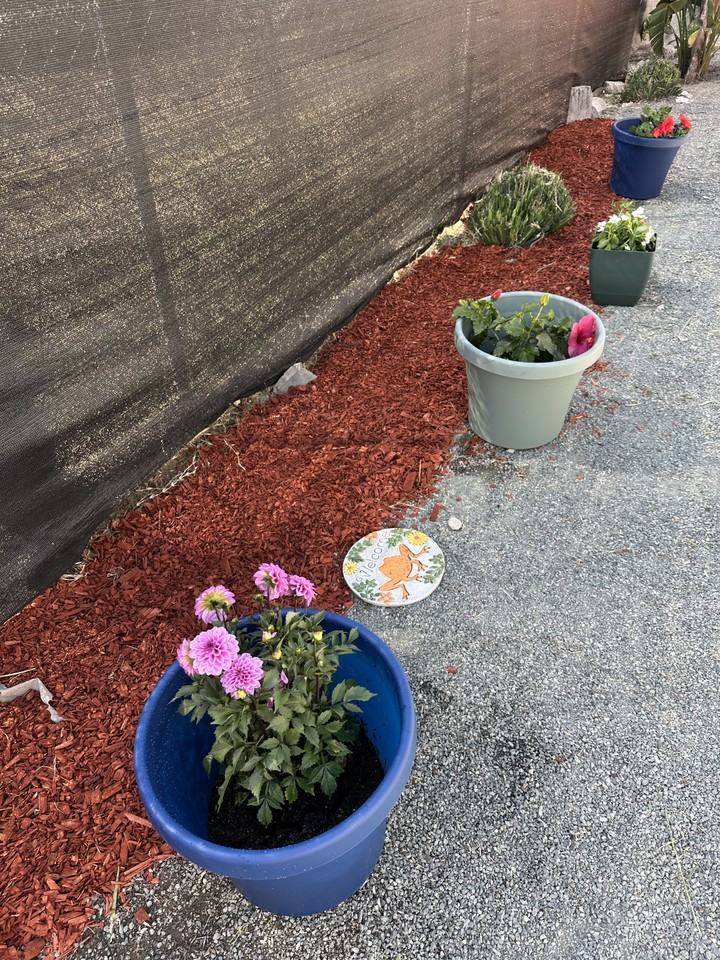 1465 9th Street - Photo 6 of 23