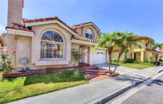 24752 Cutter - Photo 1 of 1