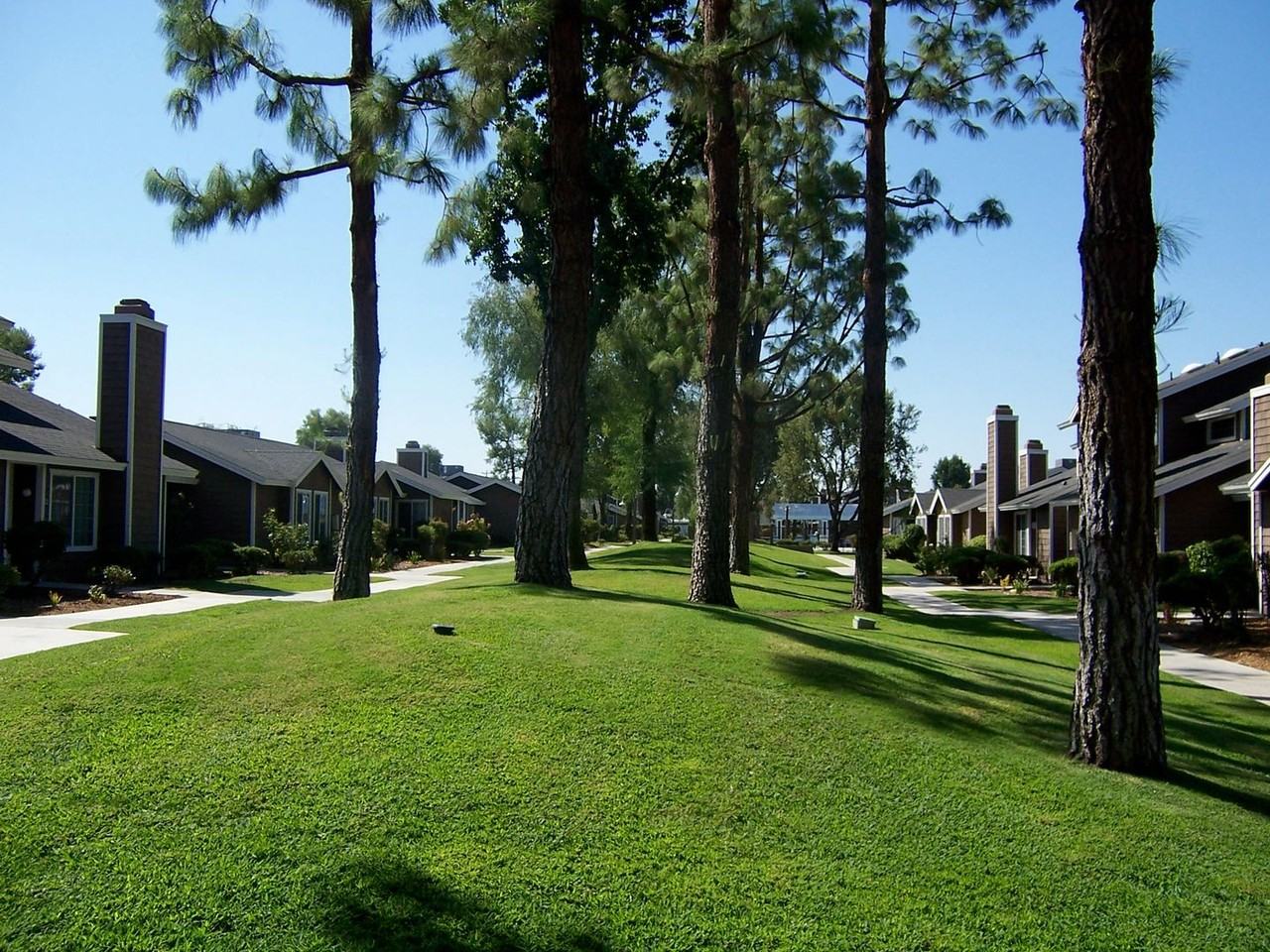 Laurelglen - Photo 7 of 14