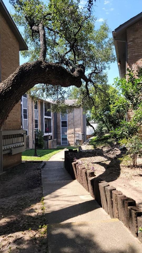 FOREST RIDGE - Photo 3 of 50