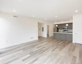 Modern Apartments in Old Kensington - Photo 1 of 1
