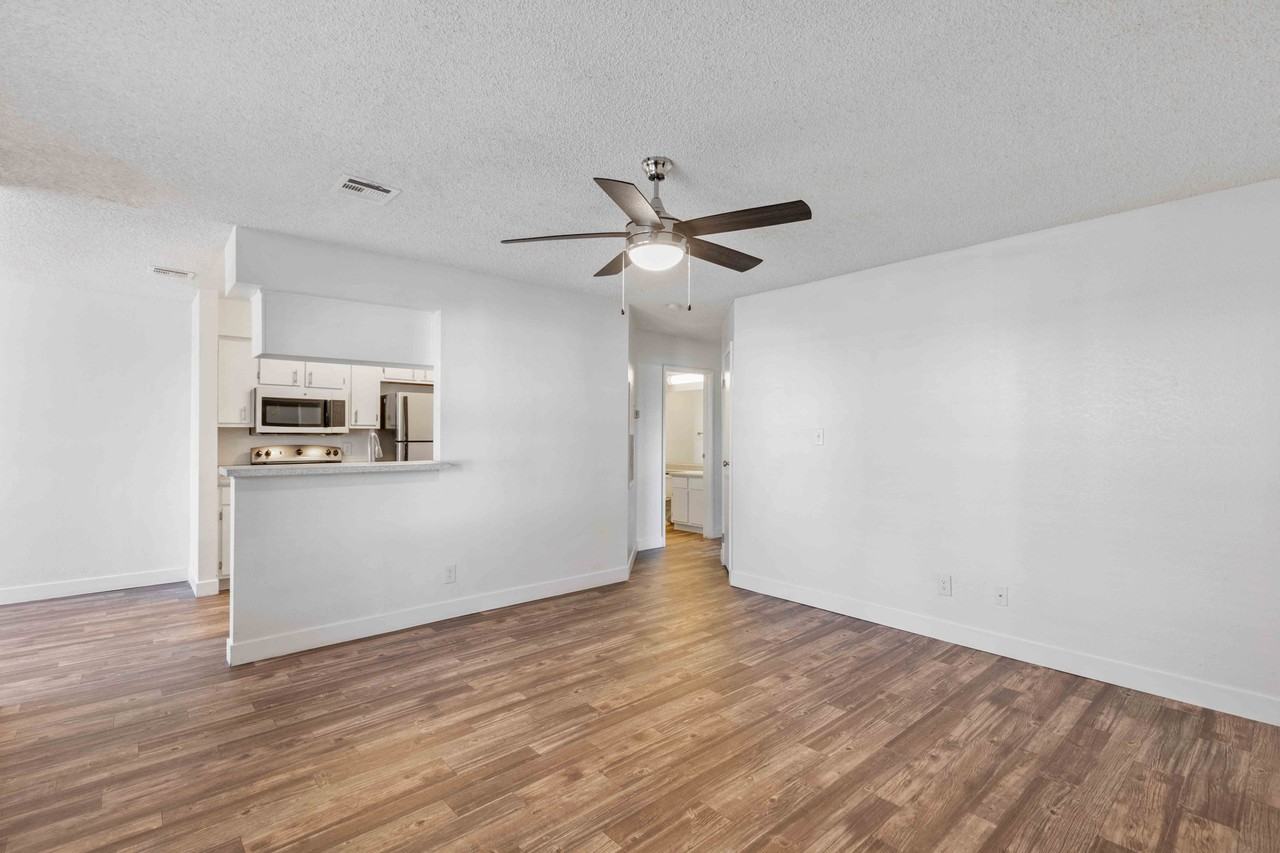 Arabella - Photo 3 of 14