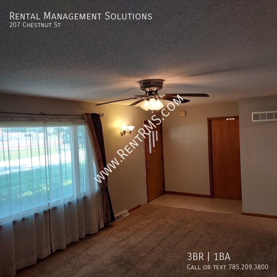 207 Chestnut St - Photo 3 of 32