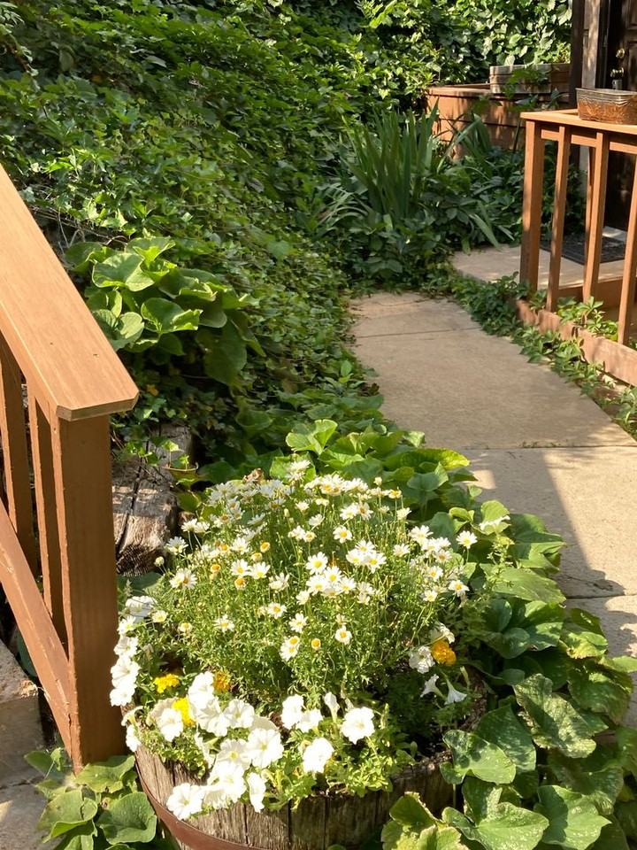 260 Spruce St - Photo 3 of 38