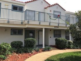 2536 Woodgate Blvd #204 - Photo 1 of 1