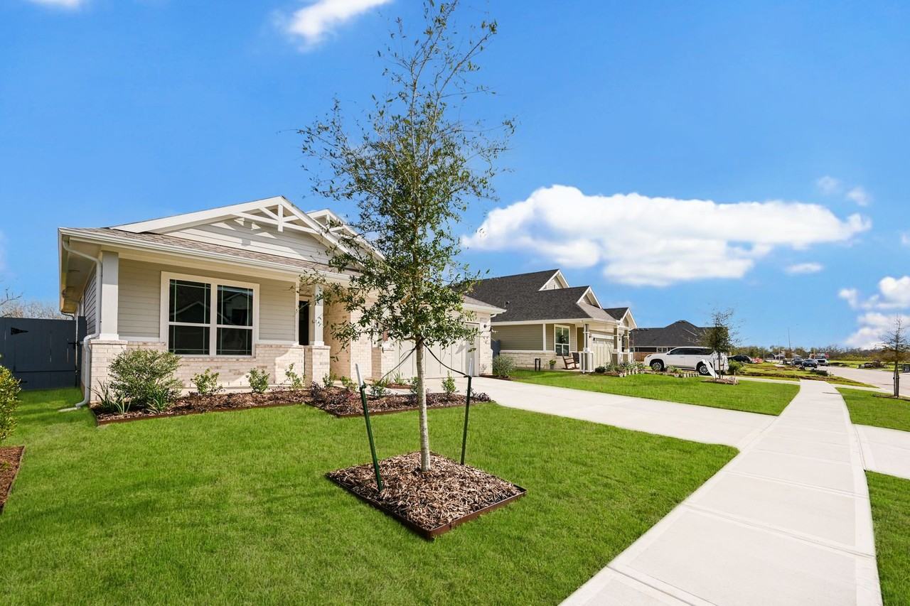 8311 Calico Pennant Way - Photo 3 of 26
