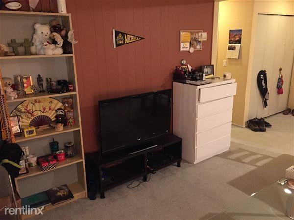 418 E Washington St #13, Ann Arbor, MI 48104 Bedroom