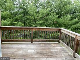 448 Waterleaf Ct - Photo 1 of 1