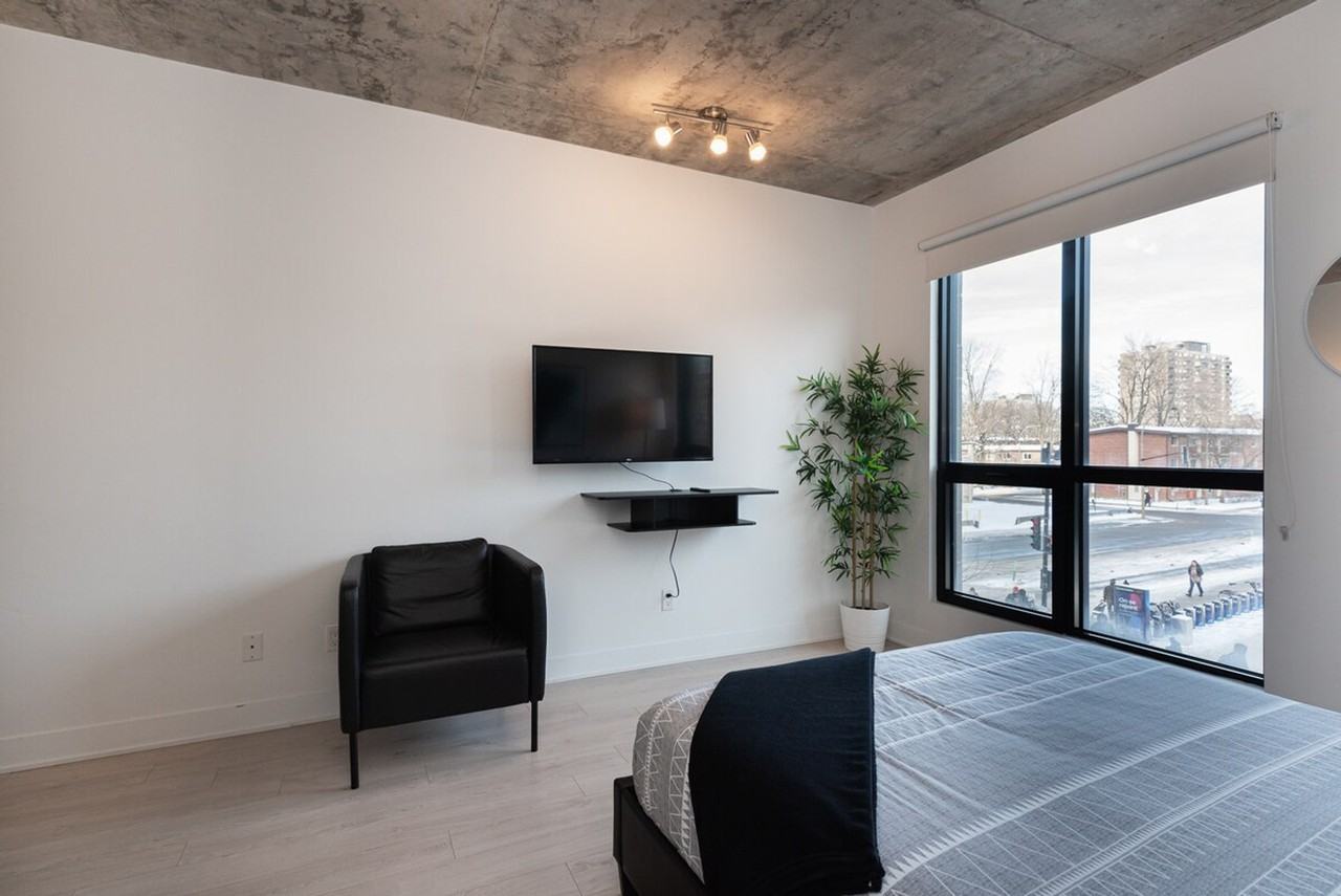 1441 Rue Saint-Urbain - Photo 5 of 38