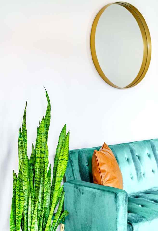 241 West Water Street - Photo 6 of 150