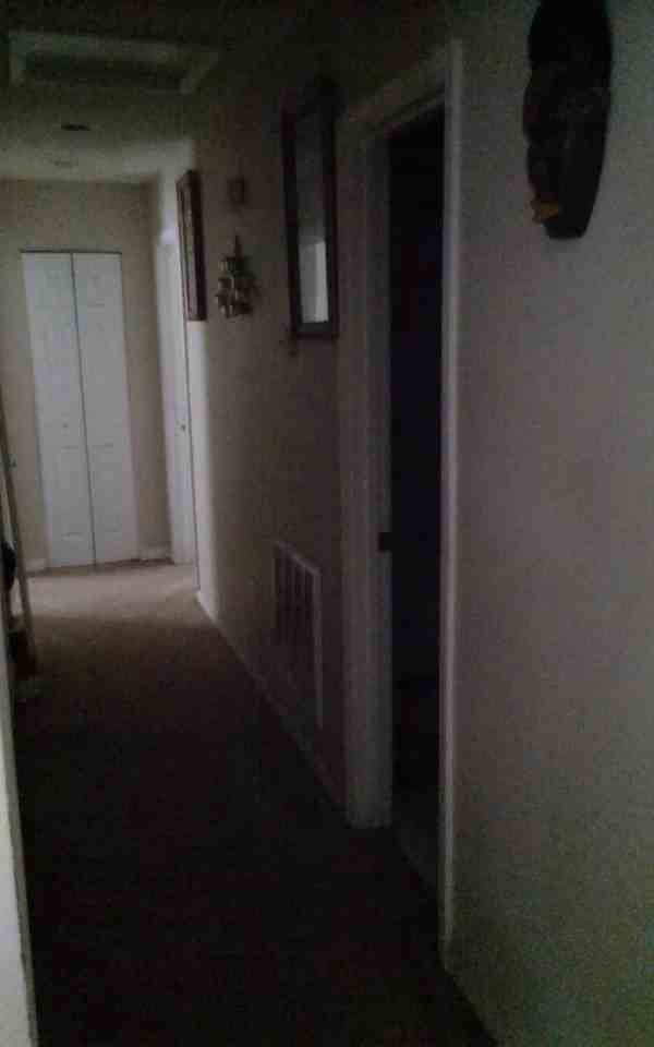 7247 Pinedale Drive - Photo 6 of 8