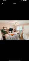 featured image of 1601 Big Tree Rd #1004