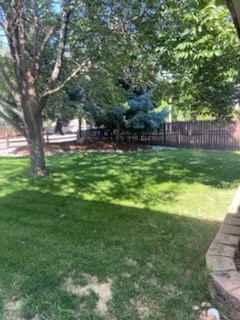 333 23rd Avenue #4 - Photo 3 of 17