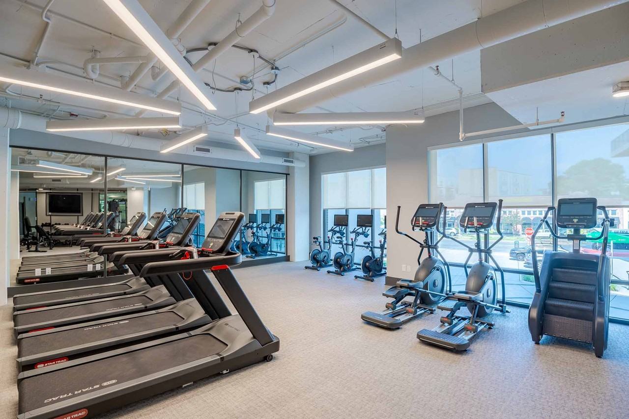 The Ace - Photo 2 of 26