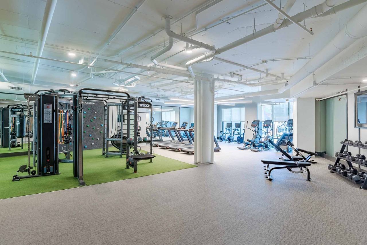 The Ace - Photo 6 of 29