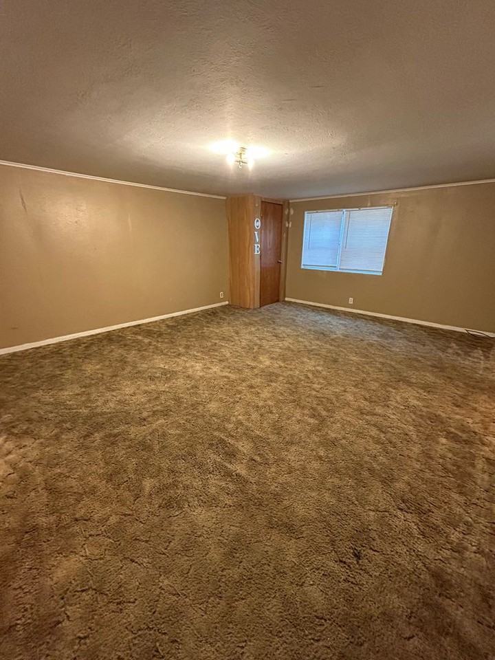 1717 S Walnut St - Photo 7 of 11