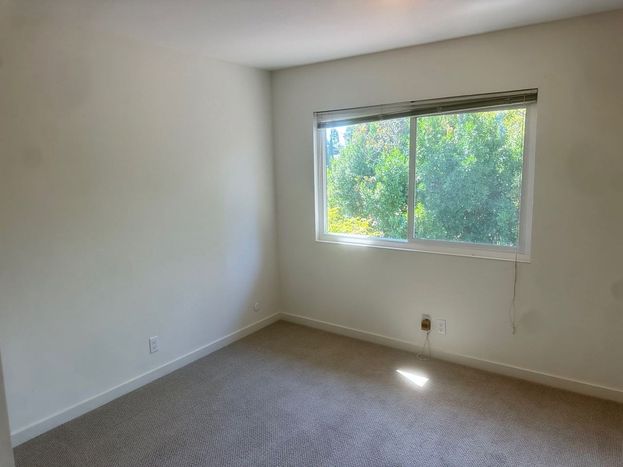 2138 Derby St - Photo 4 of 13