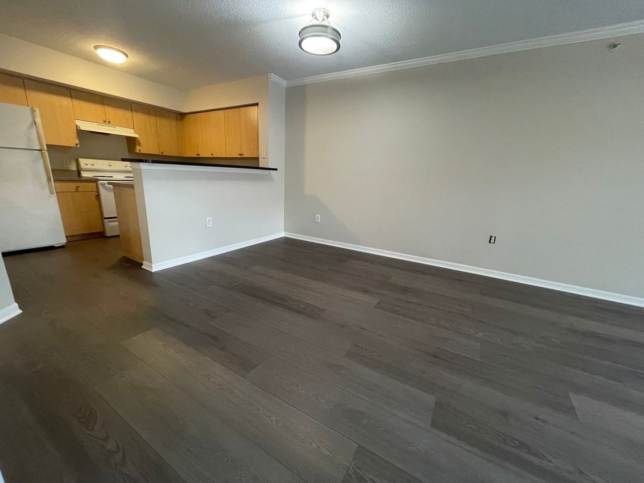 8617 River Homes Ln - Photo 4 of 18