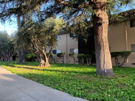 Mediterranean Apartments - Photo 1 of 1