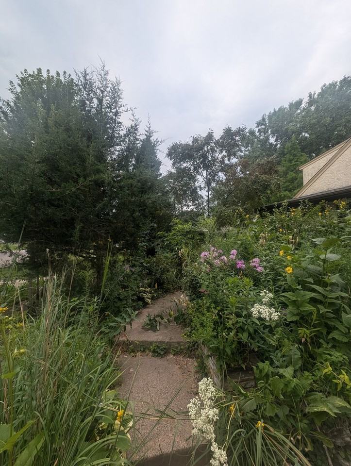 1015 Sperl St - Photo 3 of 42