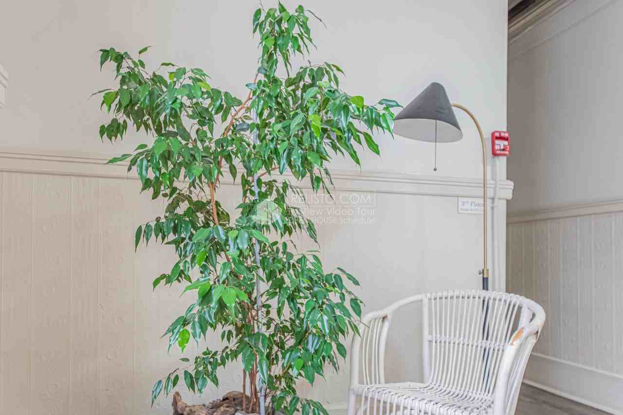 402 Broadway #77 - Photo 7 of 13