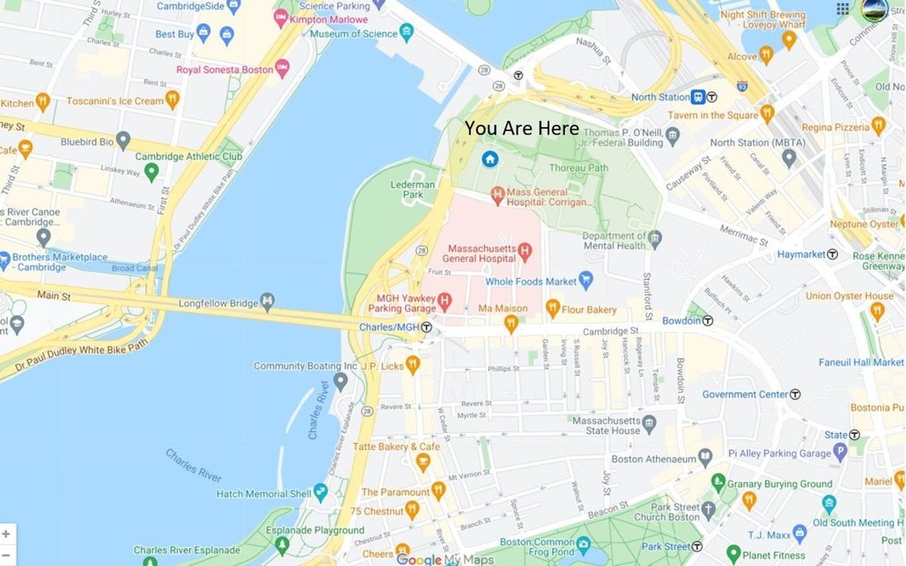 4 Emerson Pl #1059124P - Photo 4 of 25