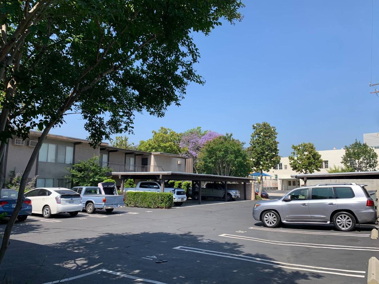 115 North Myrtle Avenue #A17 - Photo 5 of 19