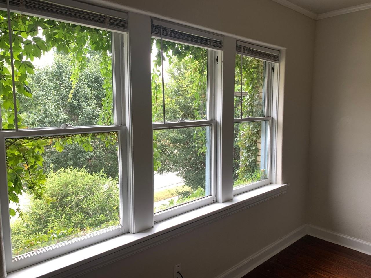 Harvey Corners - Photo 7 of 37