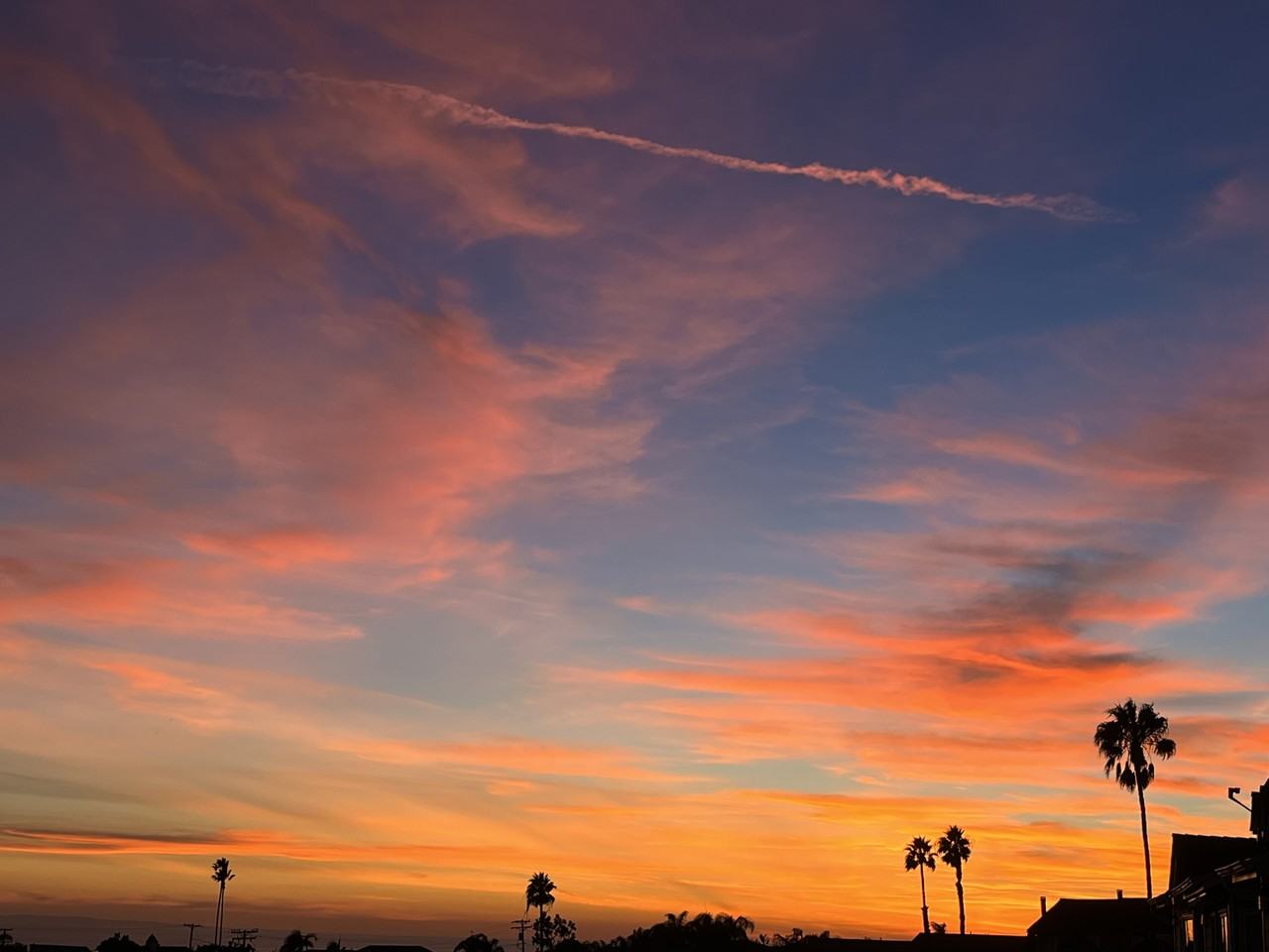 24432 Alta Vista Dr #15 - Photo 3 of 15