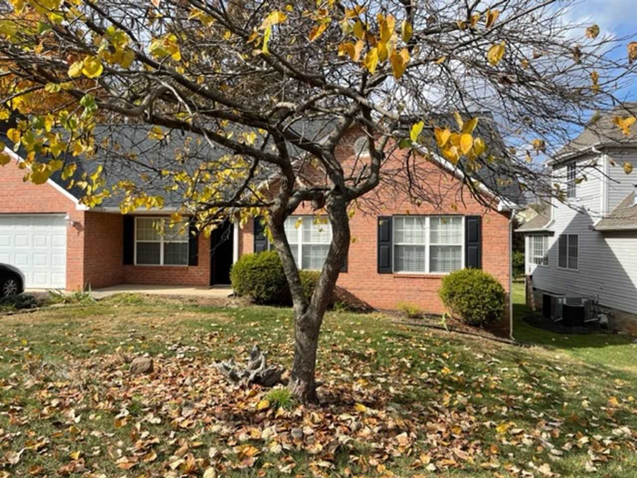 11029 Eagle Creek Ln - Photo 2 of 24