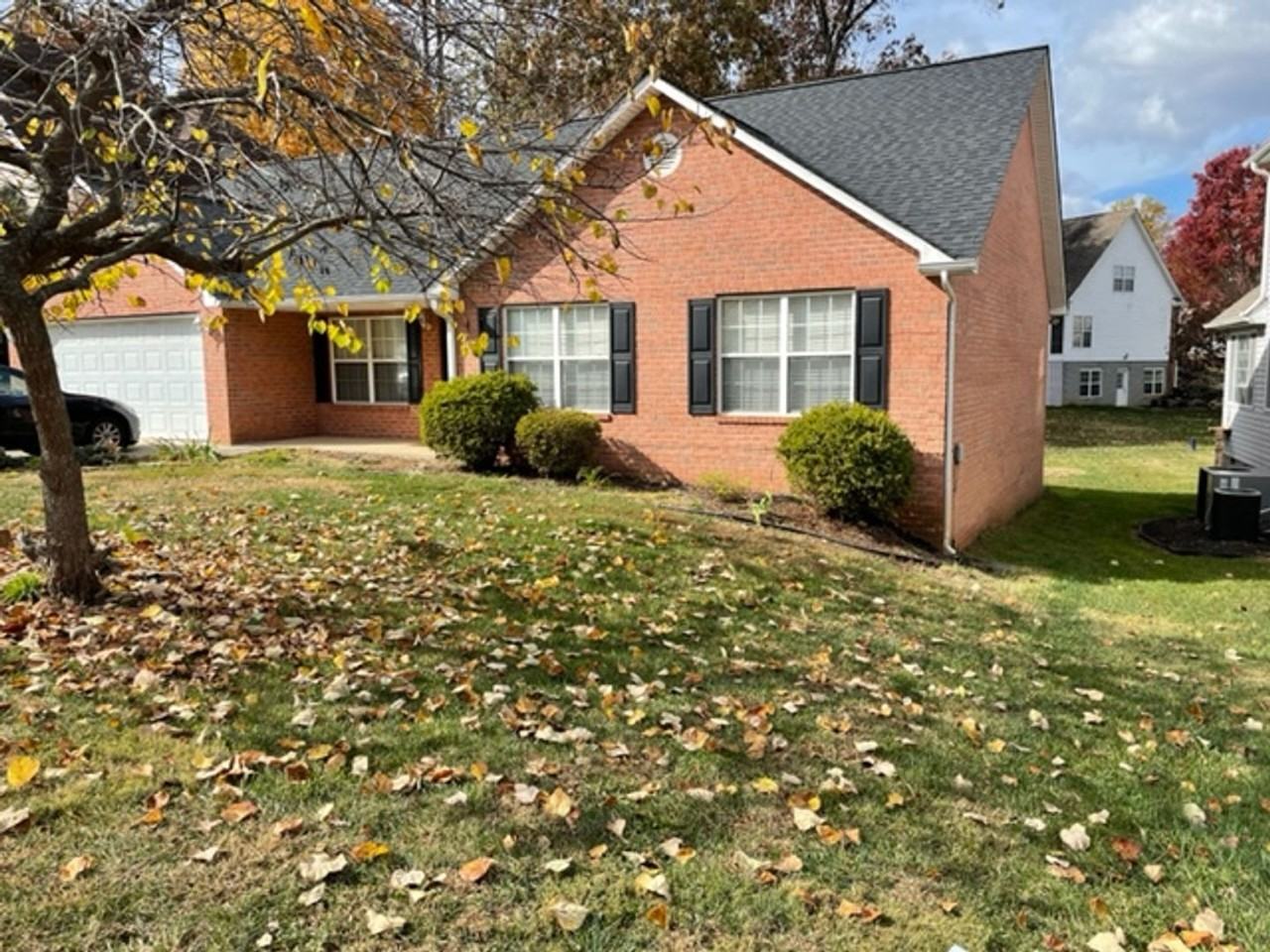 11029 Eagle Creek Ln - Photo 3 of 24