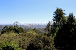 326 Panoramic Hwy #A - Photo 1 of 1