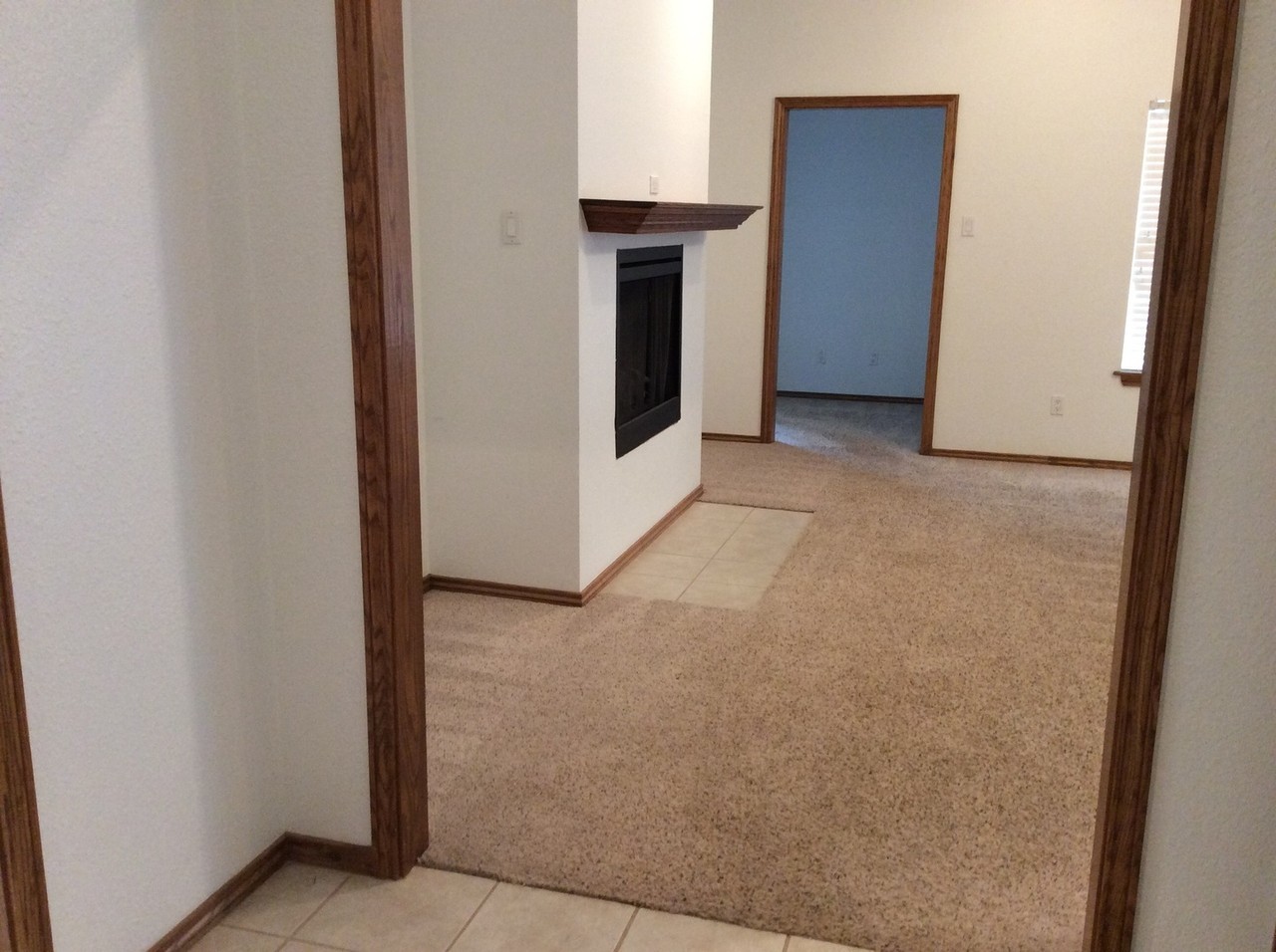 1705 Tiffani Ln - Photo 3 of 19